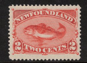 Newfoundland #48 Extra Fine Never Hinged Gem **With Certificate**