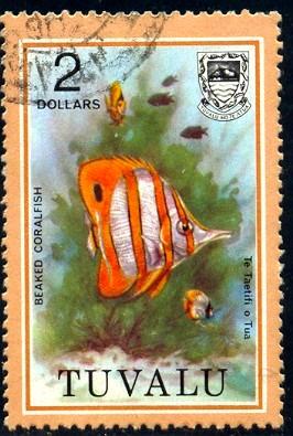 Tropical Fish, Beaked Coralfish, Tuvalu stamp SC#112 Used