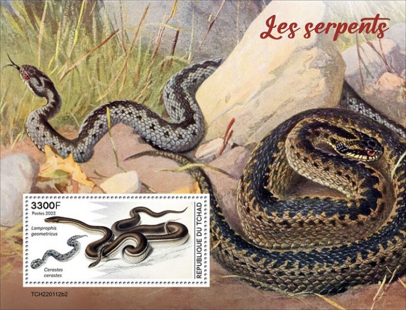 CHAD - 2022 - Snakes - Perf Souv Sheet - Mint Never Hinged