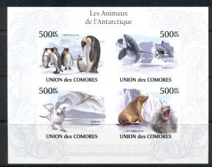 Comoro Is 2010 Animals of the Antarctic, Bird, Seal MS IMPERF MUH