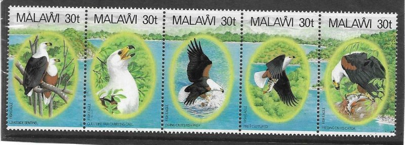 1983    MALAWI  -  SG  674 / 678  -  AFRICAN FISH EAGLE  - (Strip of 5)  - UMM