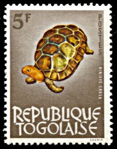 Togo 464, MNH, Forest Hinge-back Tortoise