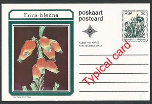 South Africa 1977 3c Postal Cards x9 all with different Erica species fine unu