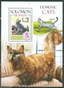 SOLOMON ISLANDS  2013  DOMESTIC CATS  SOUVENIR SHEET  MINT NH