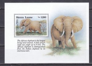 Sierra Leone, Scott cat. 1656. Elephant s/sheet.