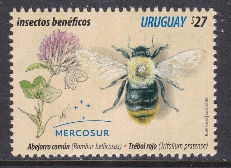 Uruguay, Fauna, Insects, Bumblebee, Flowers MNH / 2021