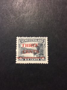 Newfoundland sc 160 MLH