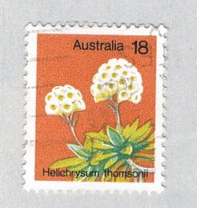 Australia Flower 18 (AP132813)