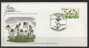 DDR Sc 1877 Camomile Flowers L312
