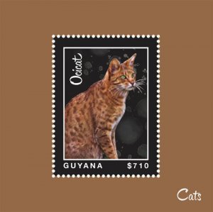 Guyana - 2013 - Cats - Souvenir Sheet - MNH