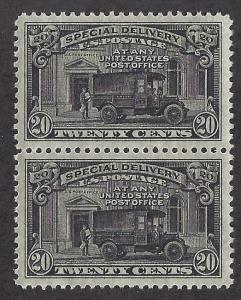 E19 Mint,OG,NH... Pair