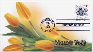 2015, Vintage Tulip, FDC, Black and White Postmark,  15-070