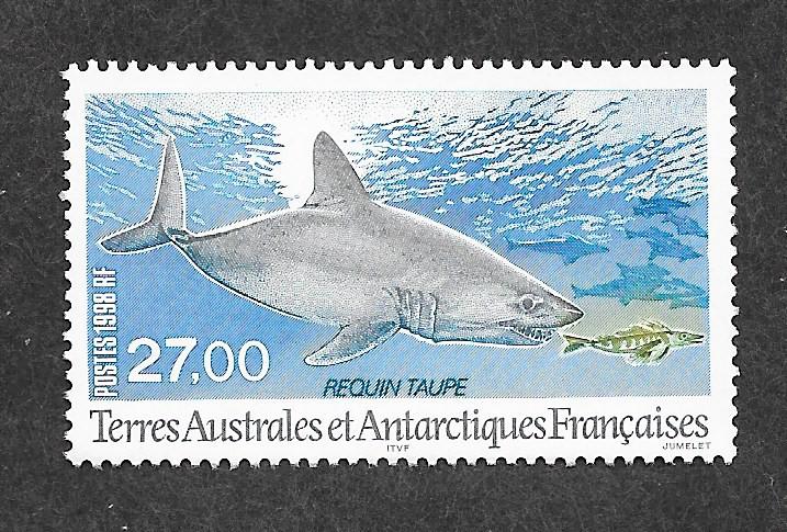 French Southern & Antarctic Territories 242 Mint NH Shark!