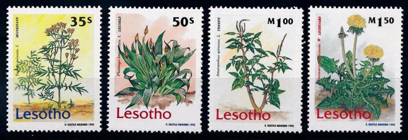 [66291] Lesotho 1995 Flora Medicinal Plants  MNH