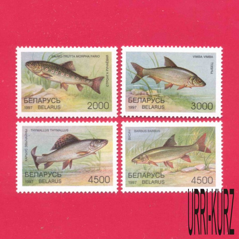 BELARUS 1997 Nature Fauna Fish Fishes 4v Sc204-207 Mi217-220 MNH