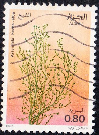 Algeria #691    Used