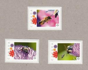 BEE = WASP = Set of 3 UNIQUE Picture Postage stamps MNH Canada 2016 [p16/08be3]