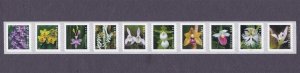 PNC10 Wild Orchids B1111 US 5435-5444, 5444a MNH F-VF Scott Order Mailed Flat 