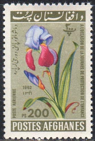 Afghanistan C25 - Mint-H - 200p Iris (1962) (cv $1.75)
