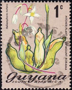 Guyana #133 Used