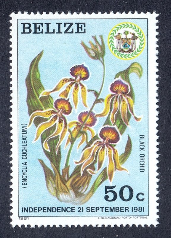 Belize - Scott #596 - MNH - Trace of fingerprint on gum - SCV $15