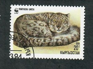 Kyrgyzstan #30 Leopard used single