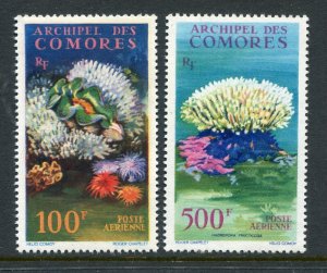 Comoro Islands 1962 Airmail, Shells & Sea Anemones (2v Cpt, RARE) MNH CV$50