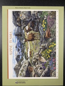 FDC 4198 Alpine Tundra First Day Of Issued 2007