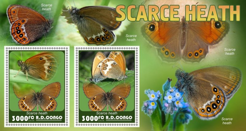 Stamps.Fauna, Butterflies  2025 year 8 sheets perforated