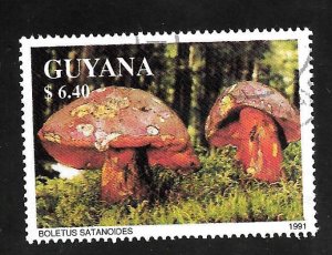 Guyana 1991 - CTO - Scott #2463