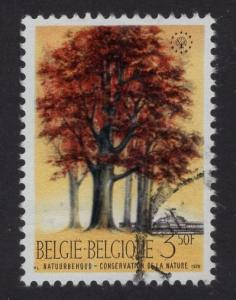 Belgium  #737  used 1970  Nature conservation  beeches