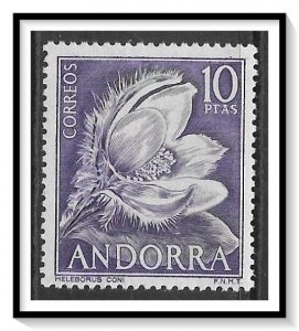 Andorra Spanish #61 Hellebore NG