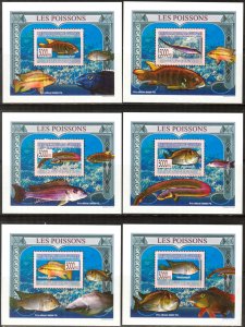 {159} Guinea 2009 Fishes 6 S/S Deluxe MNH**