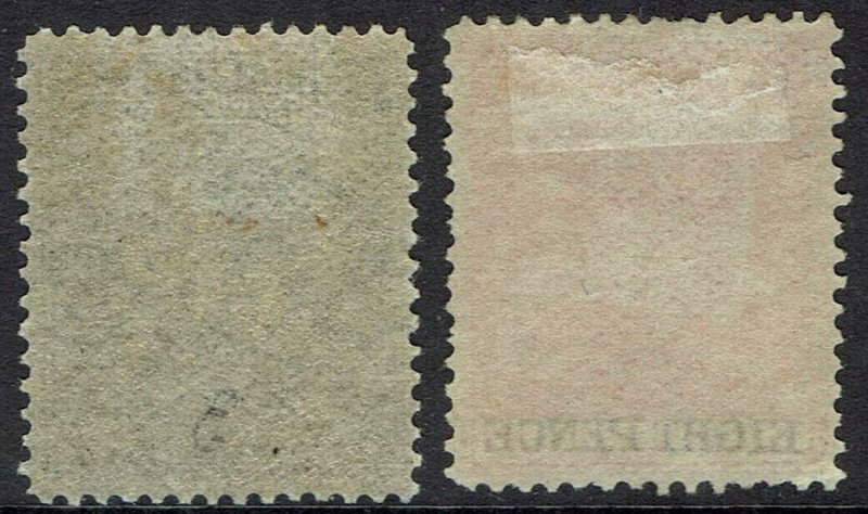 RHODESIA 1892 ARMS 1D AND 8D