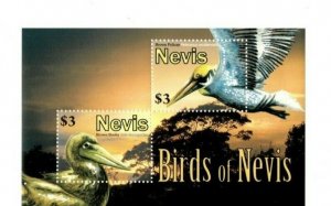 Nevis - 2010 - Birds of Nevis - Souvenir Sheet  - MNH