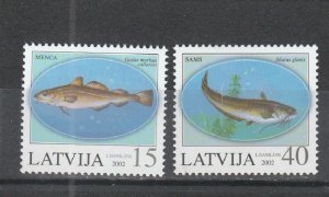 Latvia  Scott#  555-556  MNH  (2002 Fish)