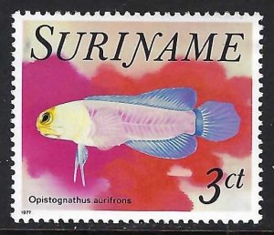 Suriname 473 MNH Z9042