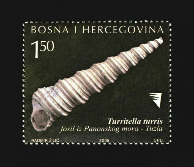 BOSNIA&HERZEGOVINA/2008, Fossils - Shells from Tuzla, MNH
