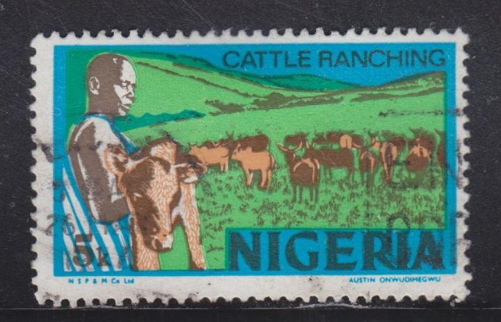 Nigeria 294 Cattle Ranching 1974