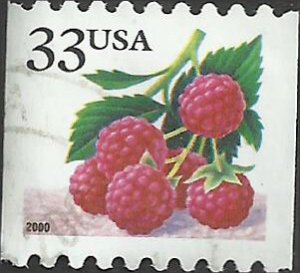 # 3407 USED RASPBERRIES