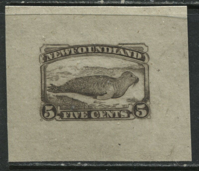 Newfoundland 1880 5¢ bogus Progressive Plate proof by Gregory Prosser