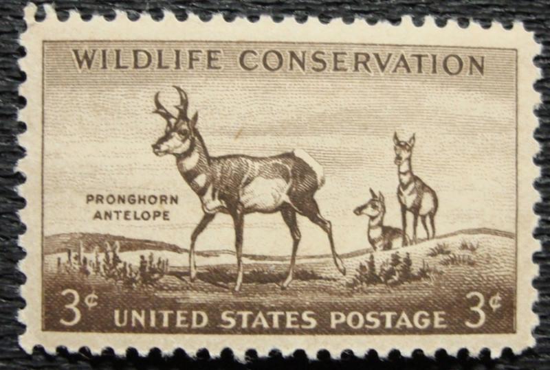 US #1078 MNH Single Pronghorn Antelope SCV $.25 L16