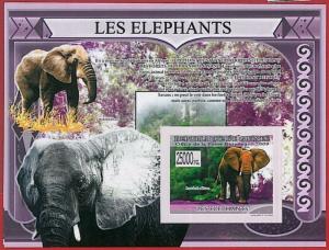 FRENCH GUINEA - ERROR, 2009 IMPERF SHEET: ELEPHANTS, Wild Animals