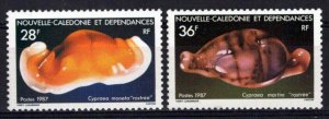 New Caledonia 560-561 MNH Seashells Marine Life MNH ZAYIX 0524S0376