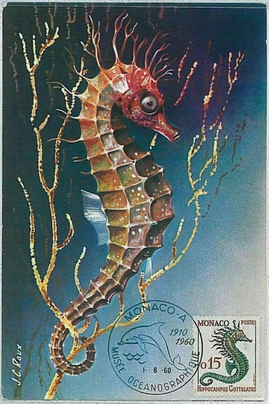 32621 MAXIMUM CARD Maximaphilia: FISH marine life - MONACO 1960 Seahorses-