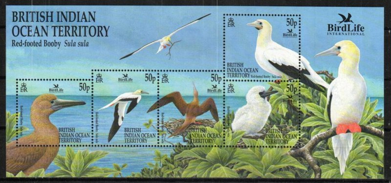 British Indian Ocean Territory Stamp 244 - Red-footed booby 