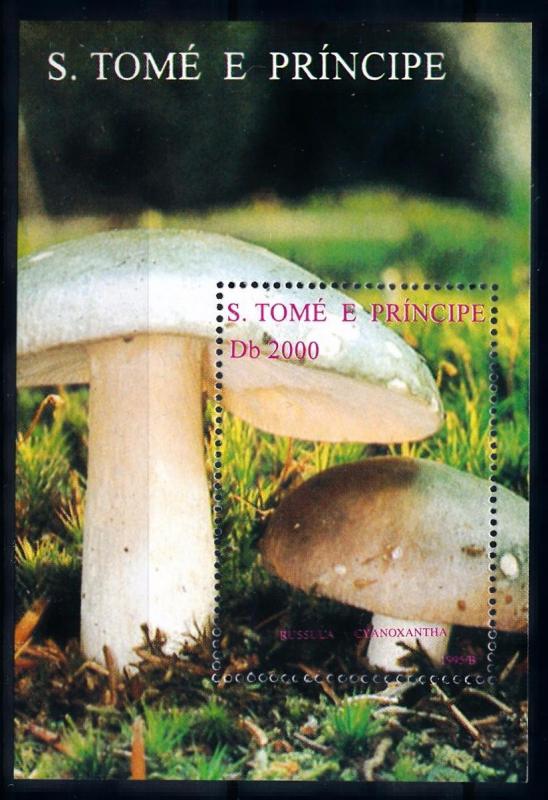 [68637] Sao Tome & Principe 1995 Mushrooms Pilze Champignons Sheet MNH