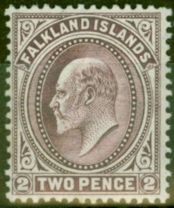 Falkland Islands 1912 2d Reddish Purple SG45b V.F Very LMM Supplied with Normal