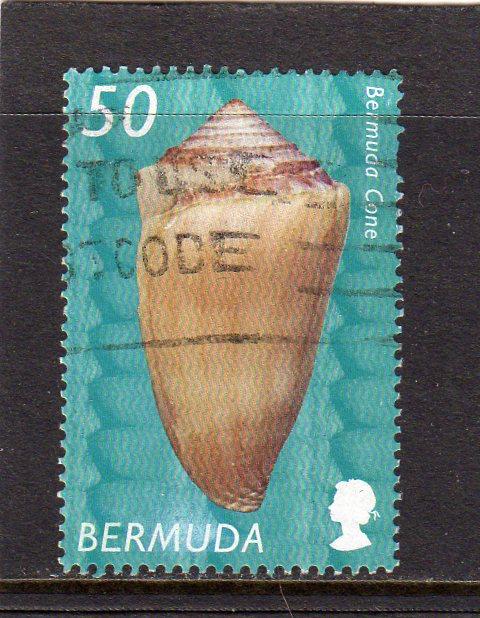 Bermuda Shells  used