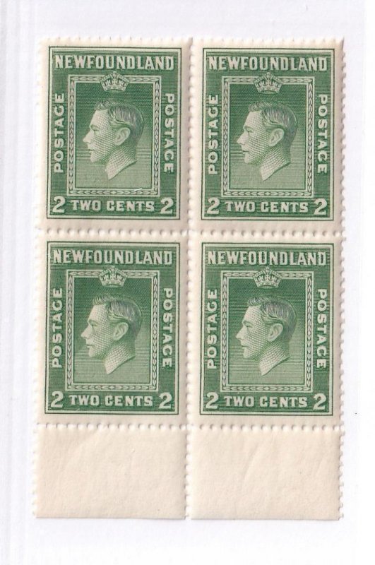 NEWFOUNDLAND PLATE BLOCKS OF 4 PLUS BLOCKS OF 4 CAT VALUE ????? 